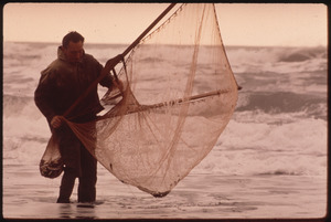 FISHING FOR SMELT ON GOLD BLUFF BEACH - NARA - 543033