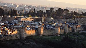 Fez-Sunset on the old city (16955000775)
