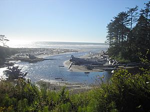 Kalaloch Washington Facts For Kids