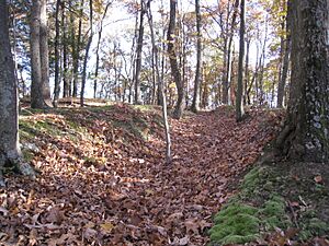 Fort Mill Ridge Civil War Trenches Romney WV 2008 10 30 18