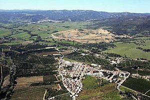 Aerial photograph of the town.