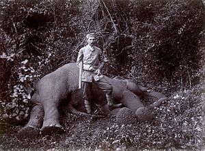 Franz Ferdinand von Österreich-Este auf Elefantenjagd 1893