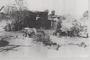 French field kitchen in Palestine 1917 IWM photo Q12739