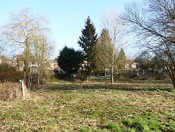 Hempstead Meadow (1)
