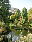 Homestead Park Lily Pond-geograph-2083270-by-Betty-Longbottom