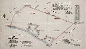 Huntington Solano-Reeve 1858 Rancho Los Alamitos survey map