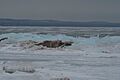 Ice on Lake Superior