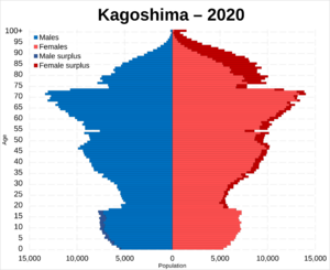 Kagoshima prefecture population pyramid 2020