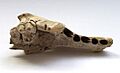 Kesslerloch Cave dog 14,500