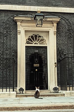 Larry the cat waiting to be let into 10 Downing St