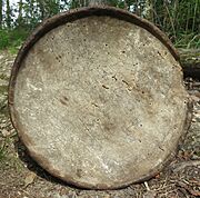 Late 1800s wooden plate Solberga parish Kungaelv municipality Sweden
