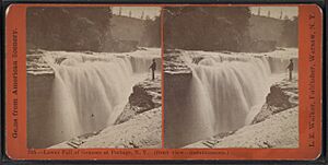 Lower Fall of Genesee at Portage, N.Y. (front view, instantaneous.), by Walker, L. E., 1826-1916