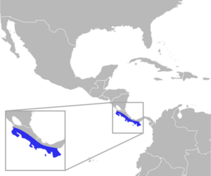 Manacus aurantiacus distribution.svg