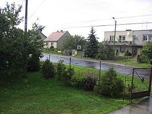 View of the village