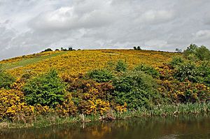 Netherton Hills - geograph.org.uk - 1290604