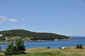 NewPerlicanNL PetersFinger