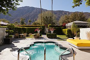 Palm Springs pool 2015