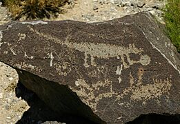 Petroglyph13