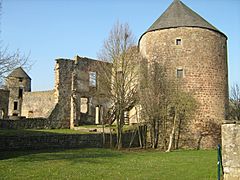 Pettingen Castle16