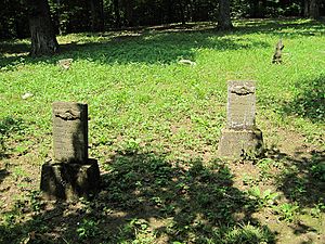 Phillip-Reeve Cemetery Old Davidsonville SP Pocahontas AR 010