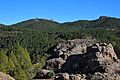 Pico de las Nieves - WLE Spain 2015