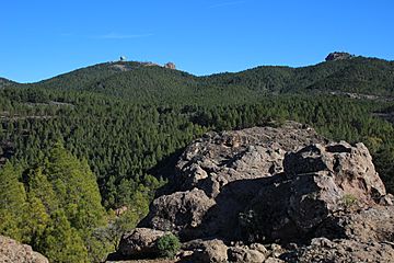Pico de las Nieves - WLE Spain 2015.jpg