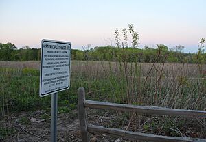 PilotKnob
