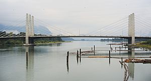 Pitt River Bridge 2016.jpg