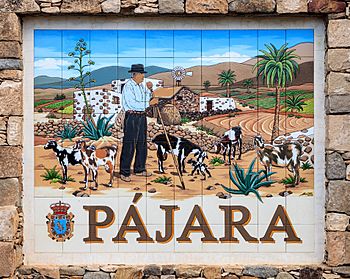 Place-name sign in the town of Pájara