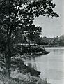 Popes creek