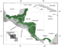 Red-eyed Treefrog Agalychnis callidryas distribution map 3