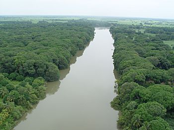 Rio Papaloapan 2.JPG