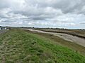 Rye Harbour SSSI (4)