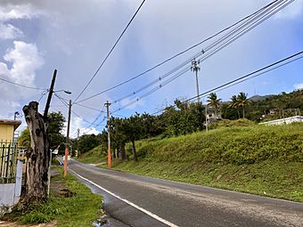 Sector María Jiménez, Hato Nuevo, Gurabo, Puerto Rico