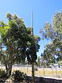 Sewerage Vent, West Perth, December 2021 03