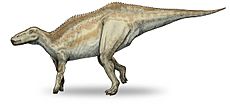 Shantungosaurus-v4