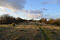 Sharnbrook Summit 3