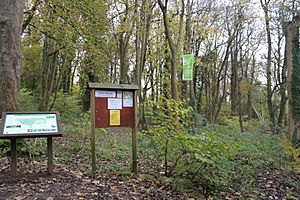 Silver Street Nature Reserve
