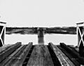 StateLibQld 1 137791 Flood damage to Indooroopilly Rail Bridge, 1893