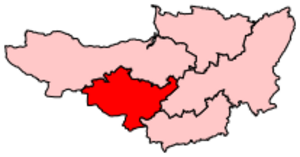 TauntonDeane2007Constituency