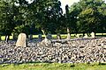 Temple Wood Stone Circles 03