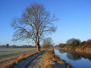 The Kennet and Avon Canal, Midgham - geograph.org.uk - 2320046