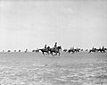The Second Anglo - Boer War, South Africa 1899 - 1902 Q72318