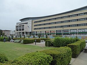 The Water Gardens, Harlow (geograph 5164305)