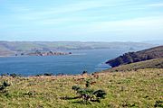 Tomales Bay as viewed from Tomales Point Trail 4