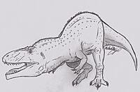 Tyrannotitan Chubutensis Reconstruction.jpg