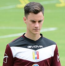 USAvVEN 2019-06-09 - Juan Añor (51171319470) (cropped).jpg