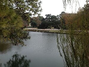Wildlife on Heron Walk Lagoon towards Callawassie Drive
