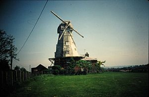 Willesborough Windmill 1982