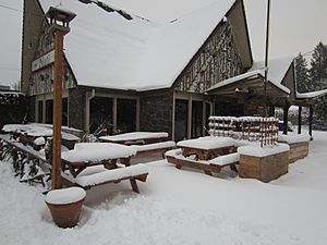 Winter storm, January 2017, southeast Portland, Oregon - 78
